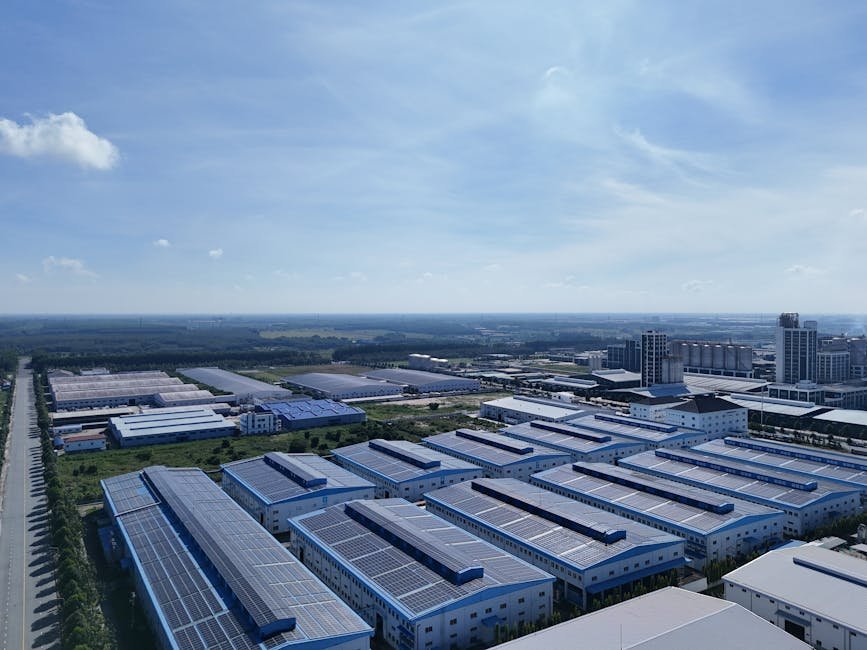 Unlock the Magic of My Pauliewaulieflimflam: Your Ultimate Guide to Effortless Transformation